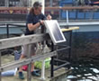 Installation of a continuous monitoring sonde at National Aquarium in Baltimore