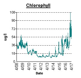 A graph showing a drop in chlorophyll a between April 8, 2003 and April 15, 2003 in Turville Creek (Coastal Bays) as a result of heavy rainfall.