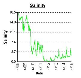 A graph showing a drop in salinity between April 8, 2003 and April 15, 2003 in Turville Creek (Coastal Bays) as a result of heavy rainfall.