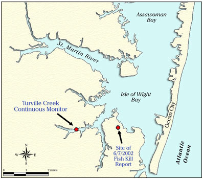 Map showing the location of the Turville Creek continuous monitor and site of the 6/7/2002 fish kill report in Maryland's Coastal Bays.