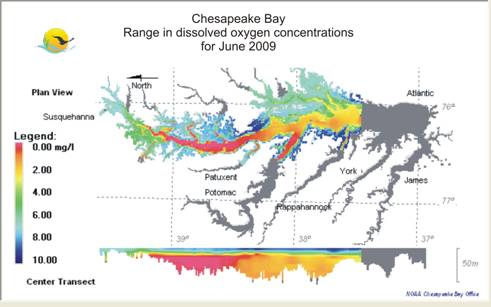 map shows spatially interpolated June 2009 dissolved oxygen concentrations for the Maryland Chesapeake Bay.