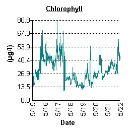 A Chart of Chlorophyll Concentration at Ben Oaks Between 5/15 and 5/22