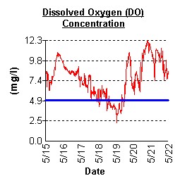 A Chart of Dissolved Oxygen Concentration at Ben Oaks Between 5/15 and 5/22