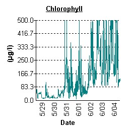 Graph of Chlorophyll a levels at Bishopville Prong between 5/29 and 6/4.