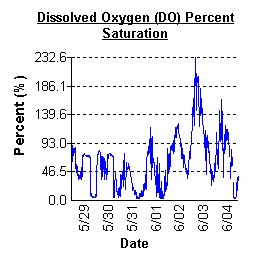 Graph of dissolved oxygen levels at Bishopville Prong between 5/29 and 6/4.