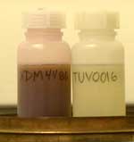 A photo of 2 water samples from the Coastal Bays.  The sample on the left is of the dark-brown algal-bloom waters from XDM4486, the sample on the right is from TUV0016 where there was no bloom.