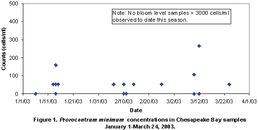 A graph of Prorocentrum minimum concentrations in Chesapeake Bay samples from January - March 2003.  Note: No bloom level samples >3000 cells/ml have been observed to date this season.
