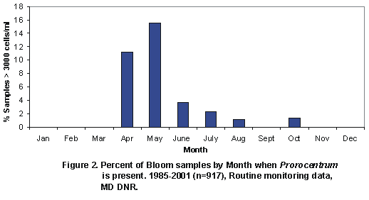 A graph showing the percent of bloom samples by month when Prorocentrum is present.  1985-2001 (n=917).  From MD DNR routine monitoring data.