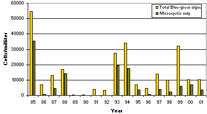 The bar graph shows historical time series (1985-2001) for summer mean concentration (cells/ml) of total blue-green algae and only Microcystis aeruginosa at Potomac River, Indian Head Station.  (Summer = June, July, August)