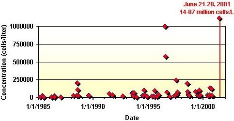a graph showing Long term monitoring history for concentrations (cells per liter) of Scrippsiella trochoidea at a monitoring station near Benedict, MD on the lower Patuxent River.