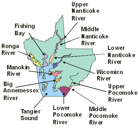Map of Lower Eastern Shore Tributaries