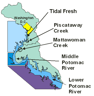 Patuxent Rivers Map of Tributaries