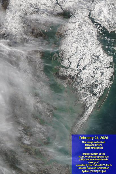 Latest satellite imagery of the Chesapeake Bay