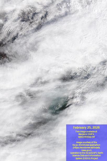 Latest satellite imagery of the Chesapeake Bay