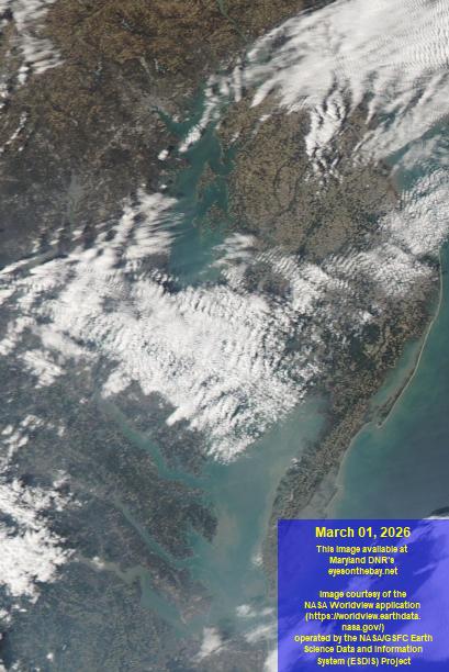 Latest satellite imagery of the Chesapeake Bay