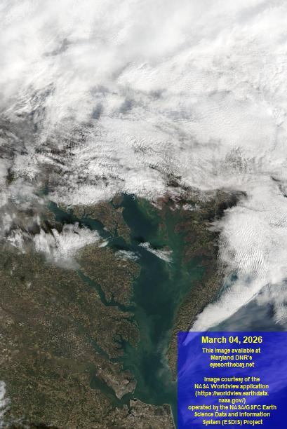 Latest satellite imagery of the Chesapeake Bay