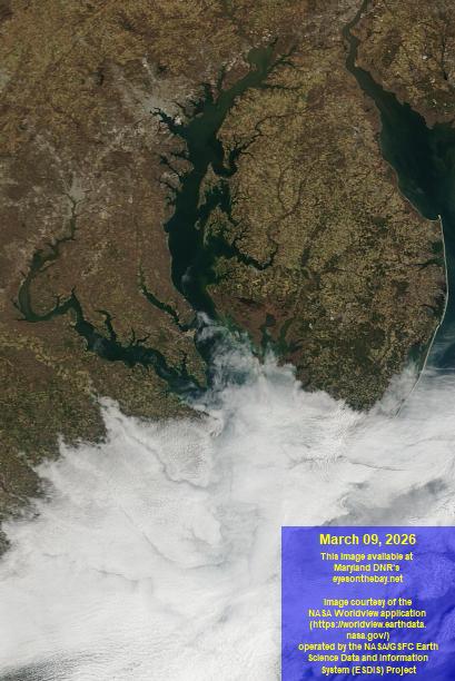 Latest satellite imagery of the Chesapeake Bay