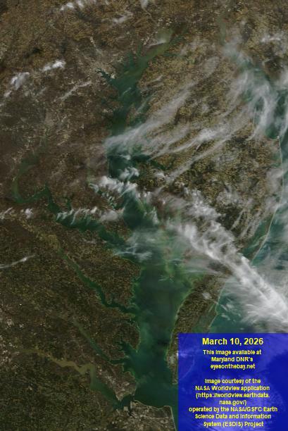 Latest satellite imagery of the Chesapeake Bay