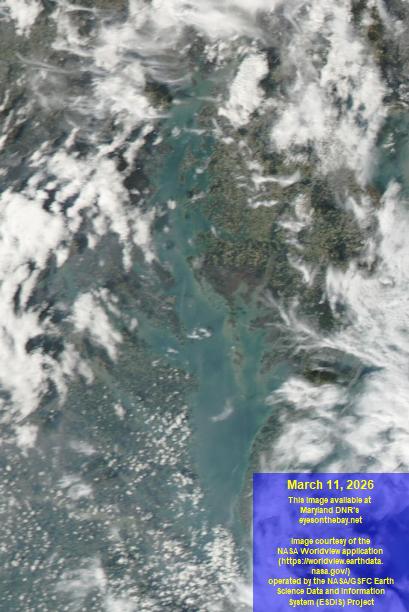 Latest satellite imagery of the Chesapeake Bay