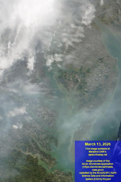 Latest satellite imagery of the Chesapeake Bay