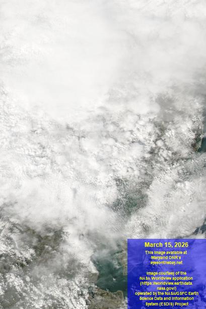 Latest satellite imagery of the Chesapeake Bay