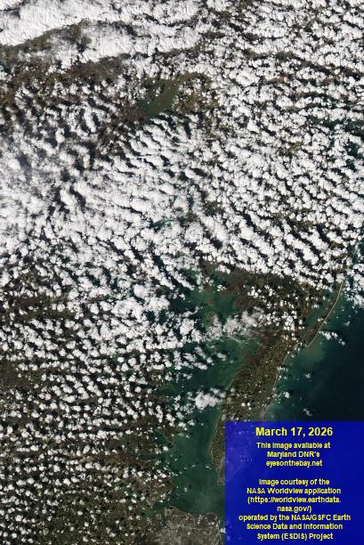 Latest satellite imagery of the Chesapeake Bay