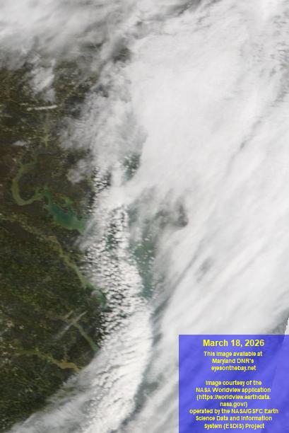 Latest satellite imagery of the Chesapeake Bay