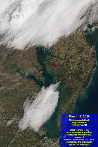 Latest satellite imagery of the Chesapeake Bay