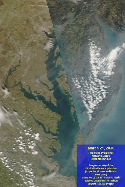 Latest satellite imagery of the Chesapeake Bay