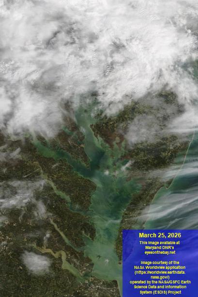 Latest satellite imagery of the Chesapeake Bay