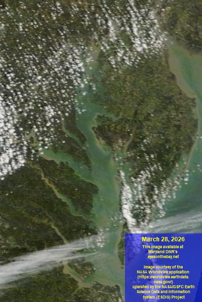 Latest satellite imagery of the Chesapeake Bay