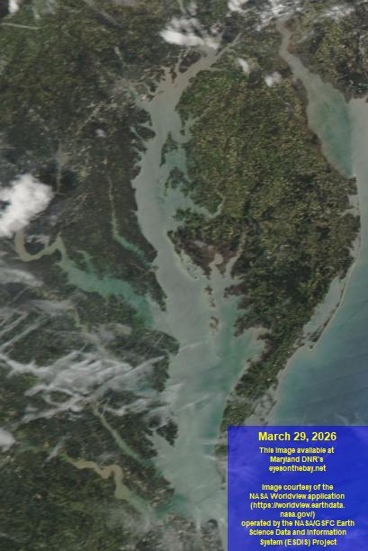 Latest satellite imagery of the Chesapeake Bay
