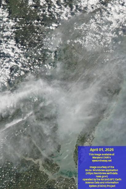 Latest satellite imagery of the Chesapeake Bay
