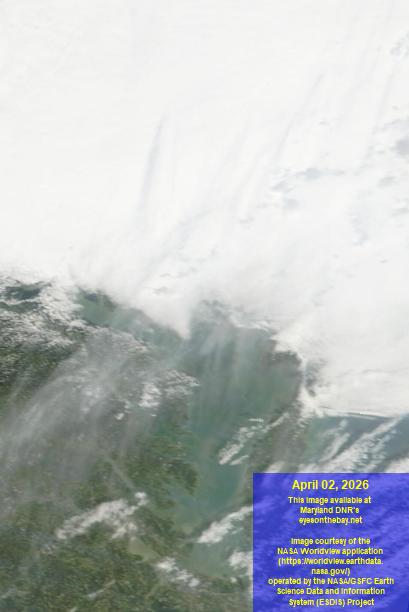 Latest satellite imagery of the Chesapeake Bay