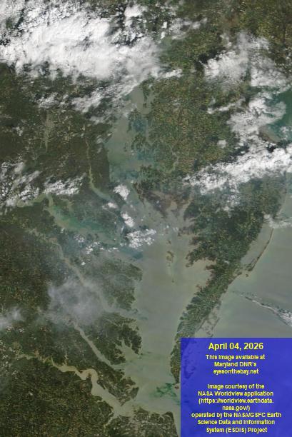 Latest satellite imagery of the Chesapeake Bay