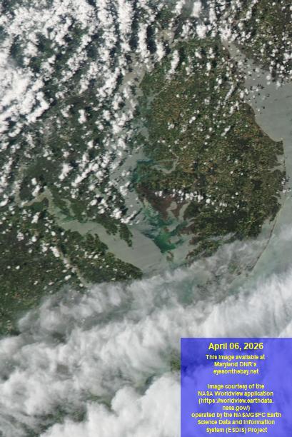 Latest satellite imagery of the Chesapeake Bay