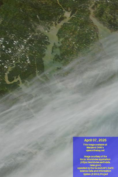 Latest satellite imagery of the Chesapeake Bay