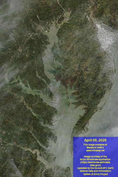 Latest satellite imagery of the Chesapeake Bay