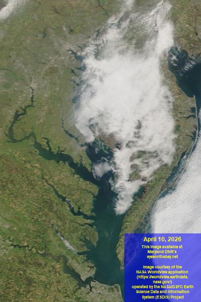 Latest satellite imagery of the Chesapeake Bay