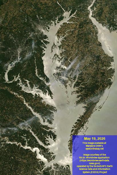 Latest satellite imagery of the Chesapeake Bay