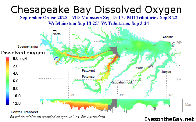Interpolated Dissolved oxygen data map