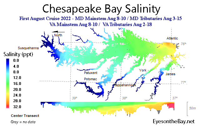 Interpolated salinity data map