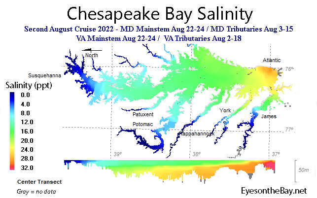 Interpolated salinity data map