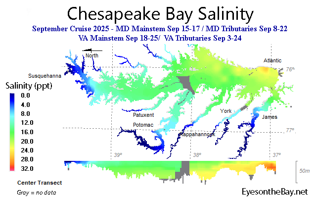 Interpolated salinity data map