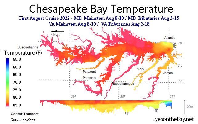 Interpolated Temperature Data Map