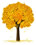 fall tree icon