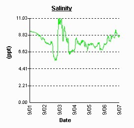 Sandy point salinity. Peak on Sept 3.