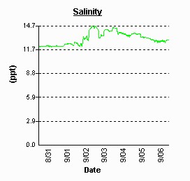 Eastern Bay salinity. Small peak on Sept 2.