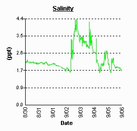 Sassafras River salinity. Peak on Sept 2 through 5.