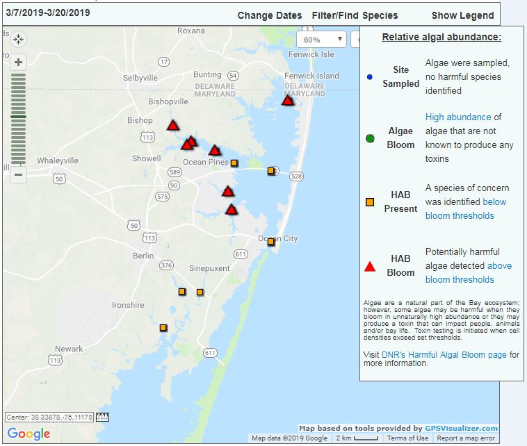 stations with Prorocentrum algae bloom levels